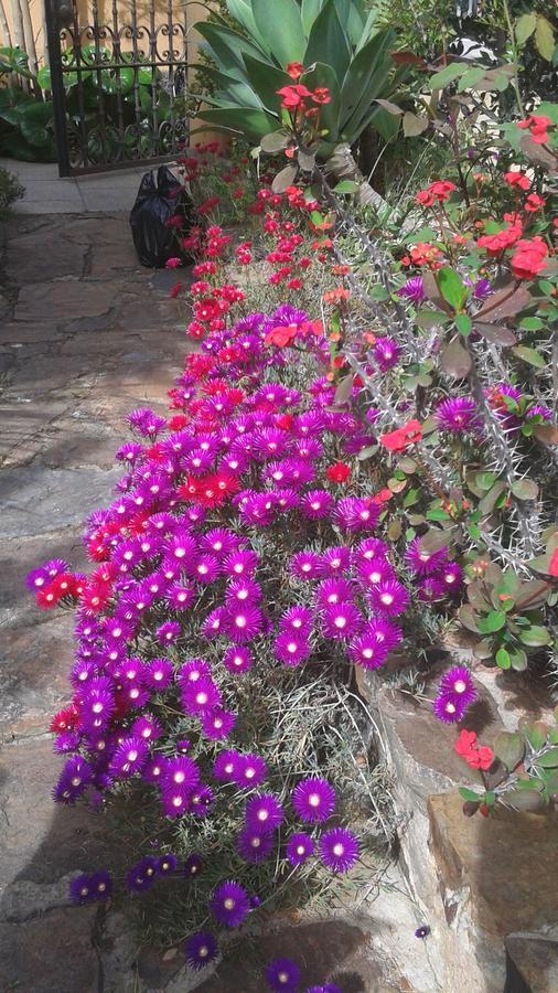 Bed And Breakfast Su Niu Quartucciu Extérieur photo
